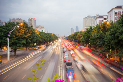 Blurred vehicles on road along trees