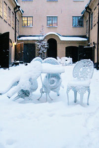 Snow covered trees