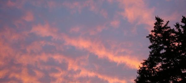 Low angle view of silhouette trees against sky at sunset