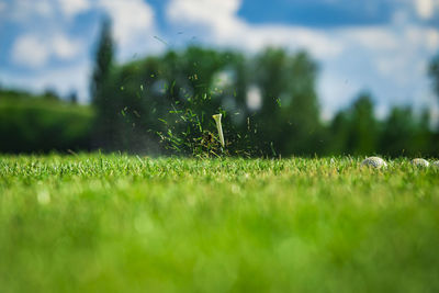 Playing golf. golf course. golf tee after shot.