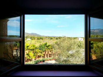 View of plants through window