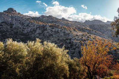 Scenic view of tree mountains against sky during autumn