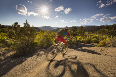 Rear view of man riding bicycle on road against sky