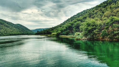 Scenic view of river amidst trees against sky