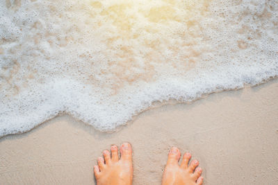 Low section of person on sand at beach