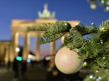 Close-up of illuminated christmas tree