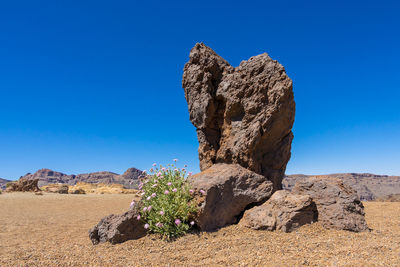 Rock formations in a desert