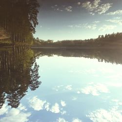 Reflection of trees in water