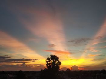 Silhouette trees against dramatic sky during sunset