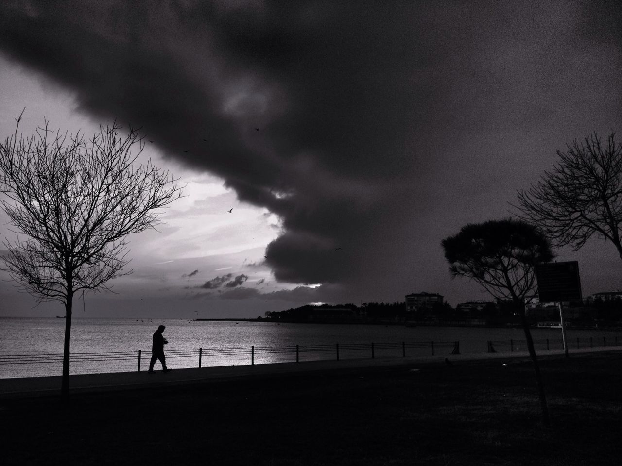 silhouette, sky, water, tree, cloud - sky, tranquility, tranquil scene, scenics, beauty in nature, sea, nature, cloudy, beach, cloud, men, lifestyles, horizon over water, leisure activity, shore