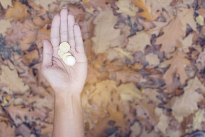 Close-up of woman hand holding coins over dry leaves on field during autumn