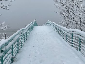 Snow covered railing against trees during winter