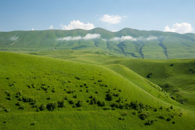 Alpine meadows in the caucasus mountains. beautiful nature in the chechen republic.