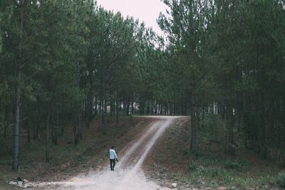 Man walking on road in forest