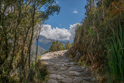 Panoramic view of landscape against sky