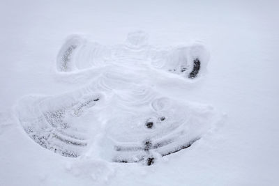 Close-up of snow covered land