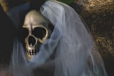 Close-up of human skull and veil on field at night