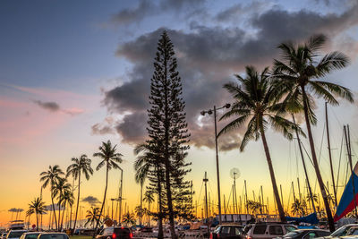 Trees amidst cars in parking lot against cloudy sky during sunset