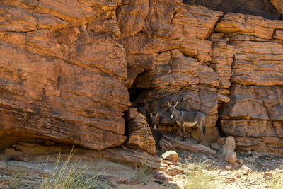 Low angle view of rock formation