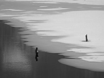 High angle view of wooden posts at frozen lake