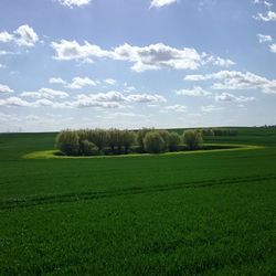 Scenic view of grassy field against sky