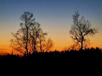 Silhouette bare trees against sky during sunset