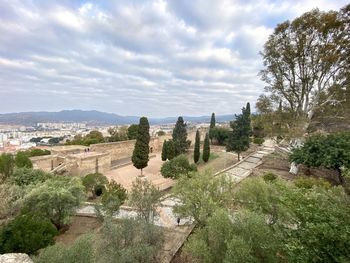 High angle view of plants against sky