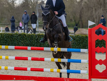 Horse jumps over an obstacle in show jumping