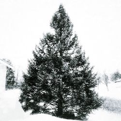 Scenic view of snow covered landscape against clear sky