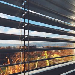 Trees on field against sky seen through window blinds