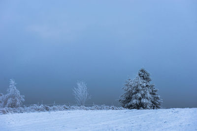 Trees on snow field against clear blue sky