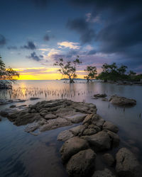 Scenic view of sea against sky during sunset