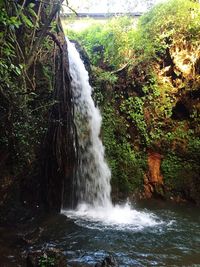 Scenic view of waterfall in forest