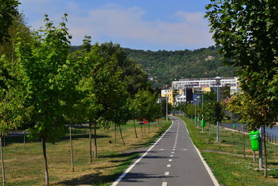 Road amidst trees in city against sky