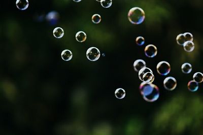 Close-up of water drops on spider web