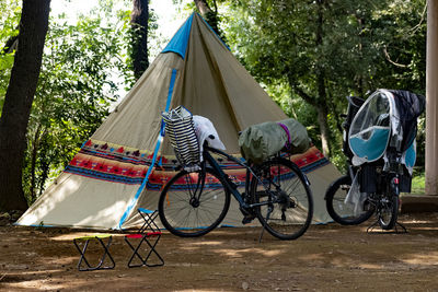 Bicycle parked against trees in forest