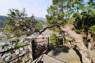 Trees by plants against sky