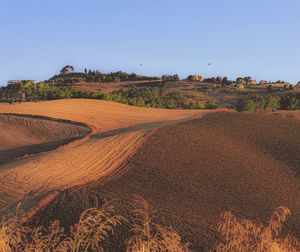 Scenic view of field against clear sky