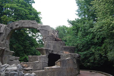 Low angle view of old ruins against sky