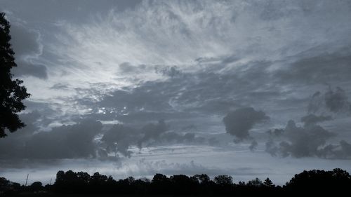 Trees on landscape against cloudy sky