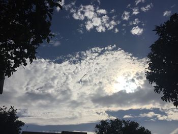 Low angle view of silhouette trees against sky