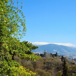 Scenic view of mountains against clear blue sky