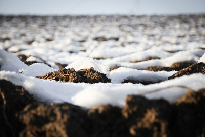 Close-up of frozen sea during winter