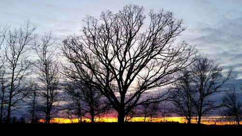 Bare trees on landscape at sunset