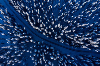 Drone view of road amidst pine trees on snow covered landscape