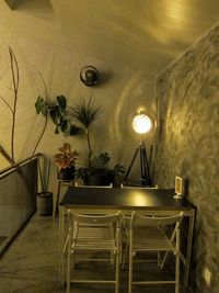 Potted plants on table against wall at home