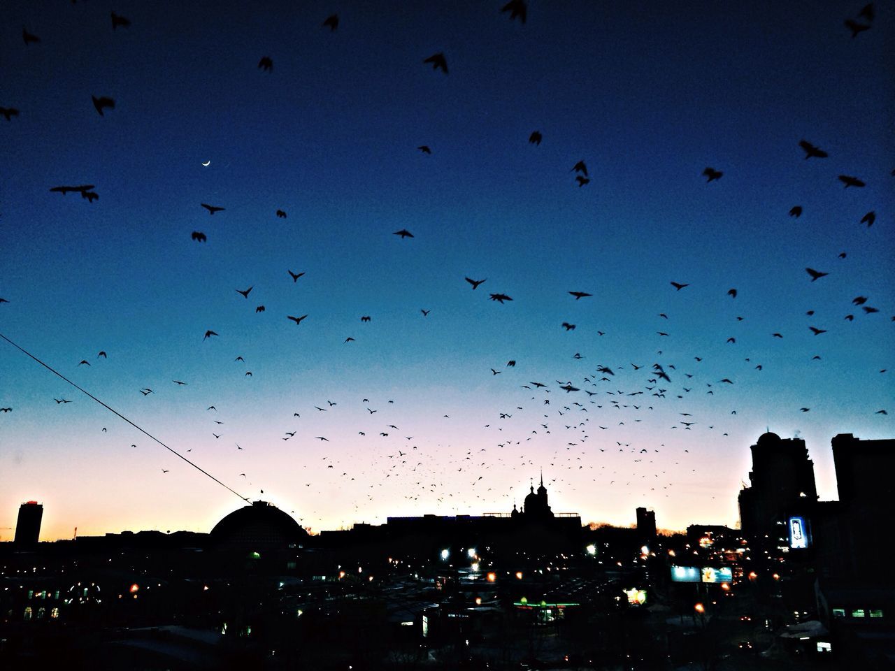 silhouette, building exterior, bird, flying, built structure, architecture, sky, animal themes, city, sunset, flock of birds, dusk, animals in the wild, wildlife, low angle view, cityscape, outdoors, clear sky, outline