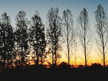 Silhouette trees in forest against clear sky