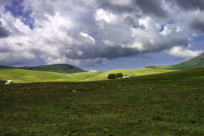 Scenic view of field against sky