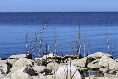 Panoramic view of rocks on beach against sky